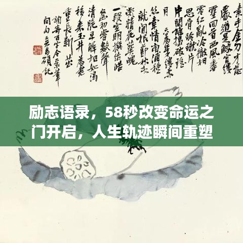 2025年6月14日 第46頁