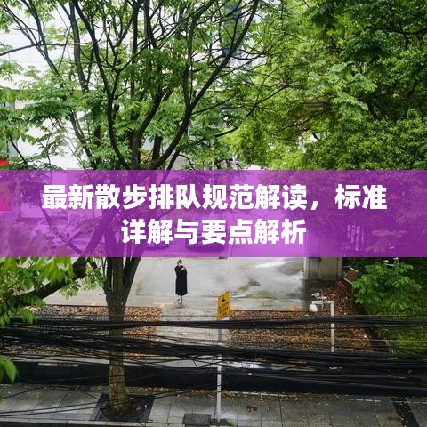 最新散步排隊(duì)規(guī)范解讀，標(biāo)準(zhǔn)詳解與要點(diǎn)解析