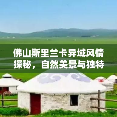 佛山斯里蘭卡異域風(fēng)情探秘，自然美景與獨特文化體驗攻略