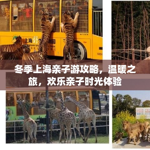 冬季上海親子游攻略，溫暖之旅，歡樂親子時光體驗
