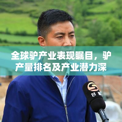 全球驢產(chǎn)業(yè)表現(xiàn)矚目，驢產(chǎn)量排名及產(chǎn)業(yè)潛力深度解析