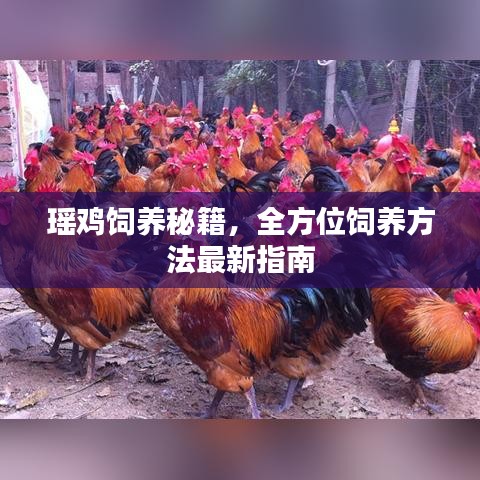 2025年6月14日 第31頁