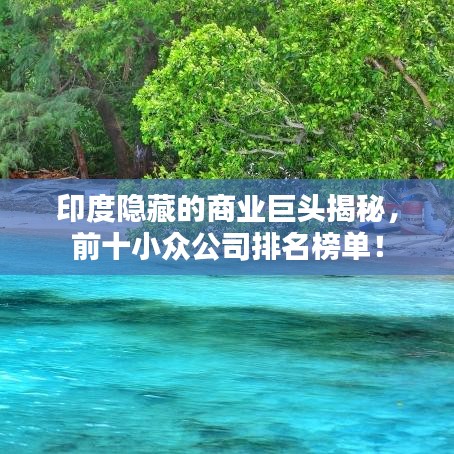 印度隱藏的商業(yè)巨頭揭秘，前十小眾公司排名榜單！