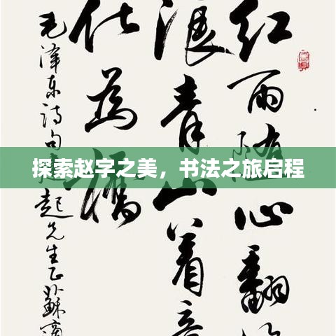 探索趙字之美，書法之旅啟程