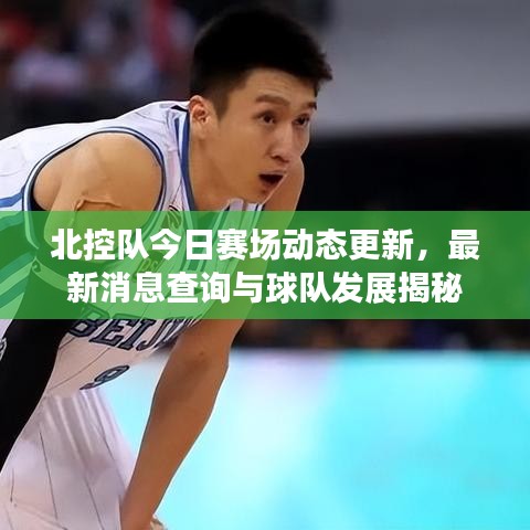 北控隊今日賽場動態(tài)更新，最新消息查詢與球隊發(fā)展揭秘