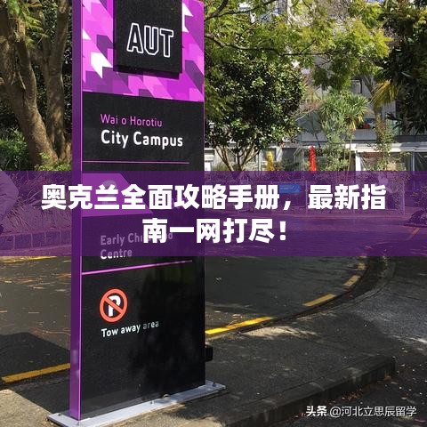 奧克蘭全面攻略手冊，最新指南一網(wǎng)打盡！