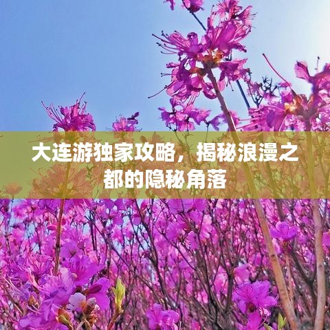 大連游獨(dú)家攻略，揭秘浪漫之都的隱秘角落