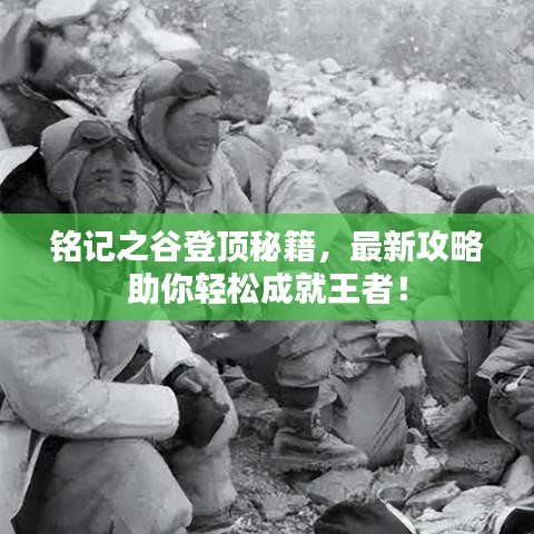 銘記之谷登頂秘籍，最新攻略助你輕松成就王者！