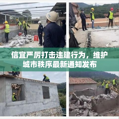 信宜嚴(yán)厲打擊違建行為，維護(hù)城市秩序最新通知發(fā)布