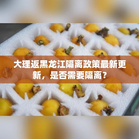 大理返黑龍江隔離政策最新更新，是否需要隔離？