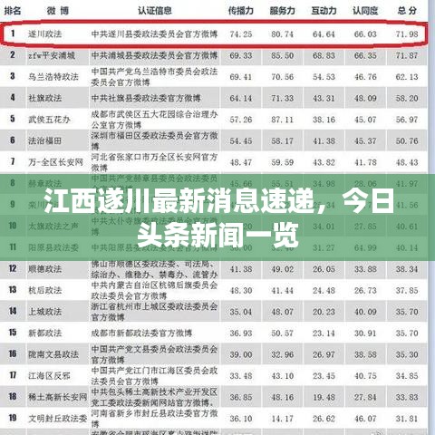 江西遂川最新消息速遞，今日頭條新聞一覽