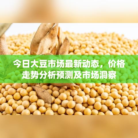 今日大豆市場最新動態(tài)，價格走勢分析預(yù)測及市場洞察