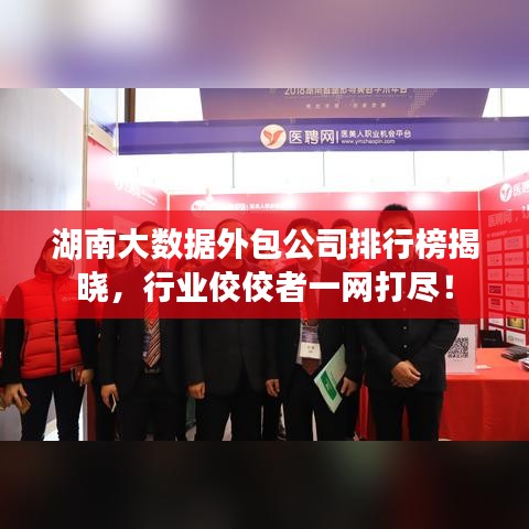 湖南大數(shù)據(jù)外包公司排行榜揭曉，行業(yè)佼佼者一網(wǎng)打盡！
