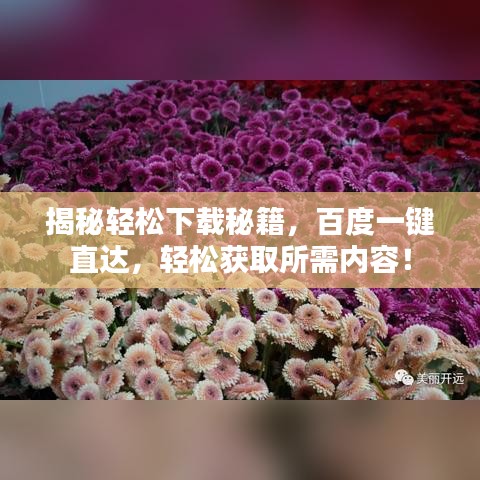 揭秘輕松下載秘籍，百度一鍵直達，輕松獲取所需內(nèi)容！