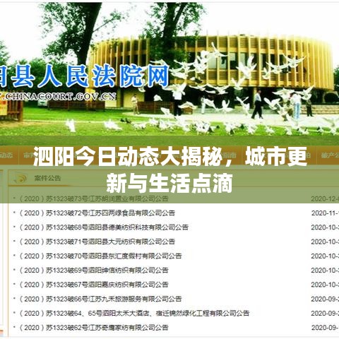泗陽今日動態(tài)大揭秘，城市更新與生活點滴