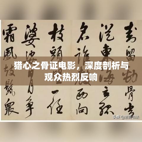 獵心之骨證電影，深度剖析與觀眾熱烈反響