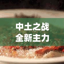 中土之戰(zhàn)全新主力攻略揭秘，征服戰(zhàn)場的無敵策略！