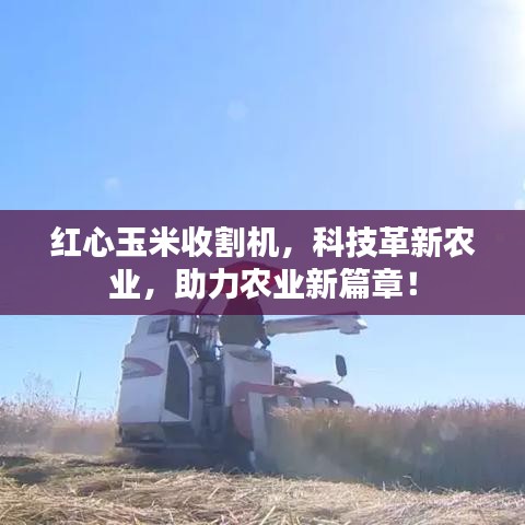 紅心玉米收割機(jī)，科技革新農(nóng)業(yè)，助力農(nóng)業(yè)新篇章！
