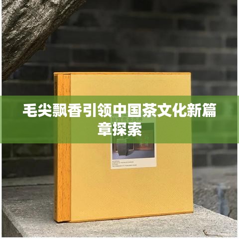 毛尖飄香引領(lǐng)中國茶文化新篇章探索