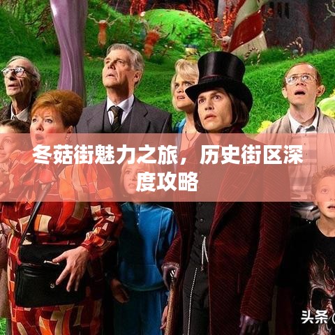 冬菇街魅力之旅，歷史街區(qū)深度攻略