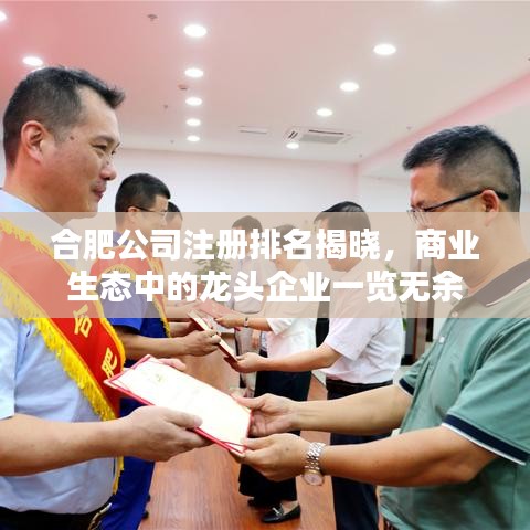合肥公司注冊排名揭曉，商業(yè)生態(tài)中的龍頭企業(yè)一覽無余