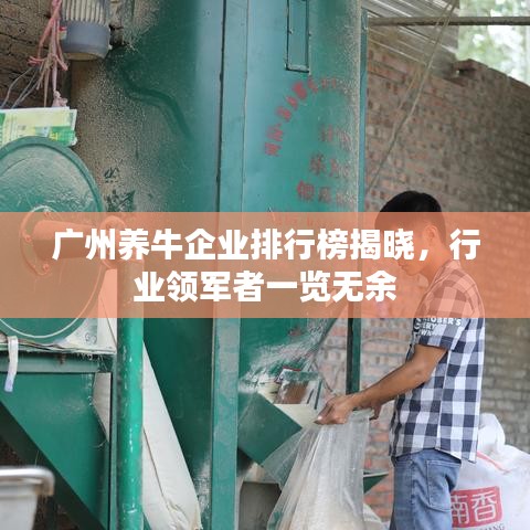 廣州養(yǎng)牛企業(yè)排行榜揭曉，行業(yè)領(lǐng)軍者一覽無余