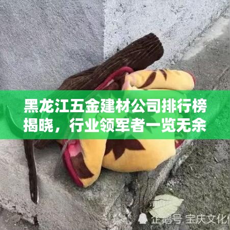 黑龍江五金建材公司排行榜揭曉，行業(yè)領(lǐng)軍者一覽無(wú)余