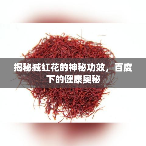 揭秘臧紅花的神秘功效，百度下的健康奧秘