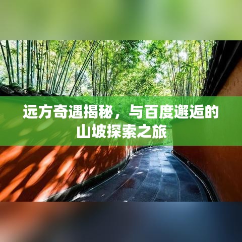 遠方奇遇揭秘，與百度邂逅的山坡探索之旅