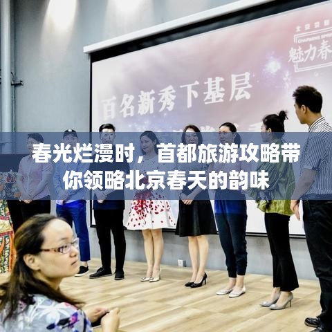 春光爛漫時(shí)，首都旅游攻略帶你領(lǐng)略北京春天的韻味