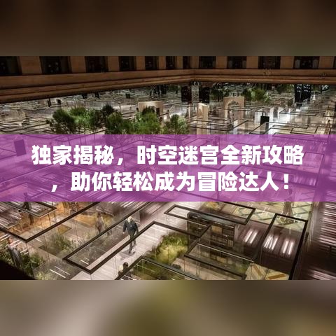 獨家揭秘，時空迷宮全新攻略，助你輕松成為冒險達(dá)人！