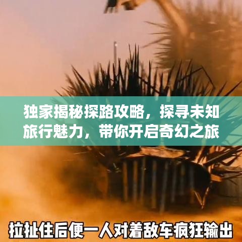 獨家揭秘探路攻略，探尋未知旅行魅力，帶你開啟奇幻之旅！
