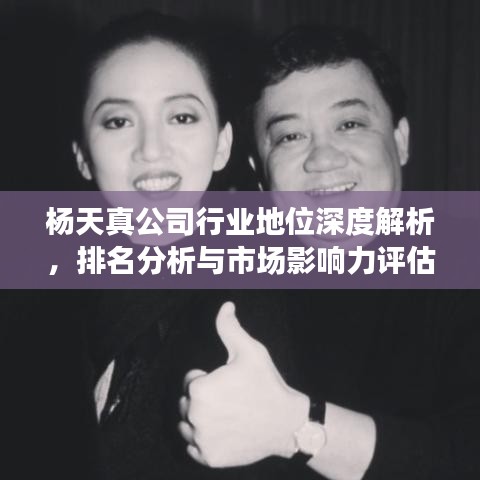 楊天真公司行業(yè)地位深度解析，排名分析與市場(chǎng)影響力評(píng)估
