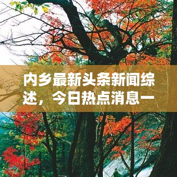 內(nèi)鄉(xiāng)最新頭條新聞綜述，今日熱點消息一網(wǎng)打盡