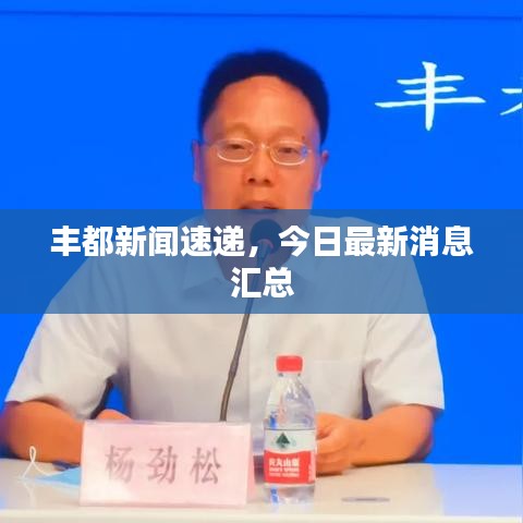豐都新聞速遞，今日最新消息匯總