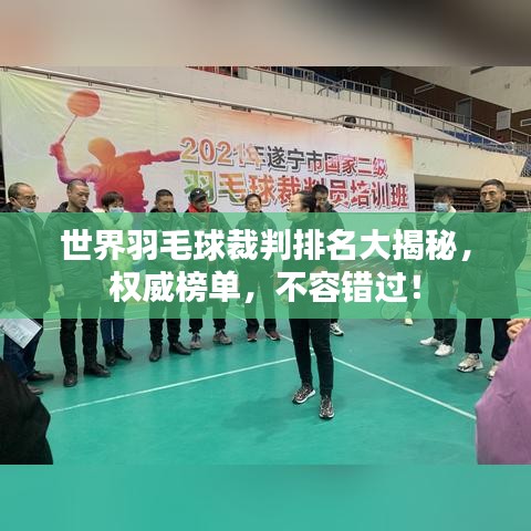 世界羽毛球裁判排名大揭秘，權(quán)威榜單，不容錯過！