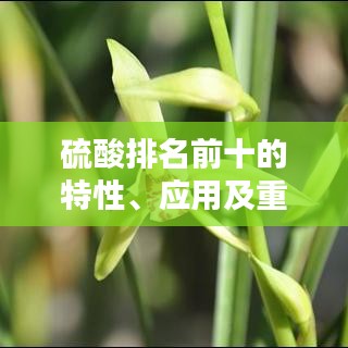 硫酸排名前十的特性、應(yīng)用及重要性解析