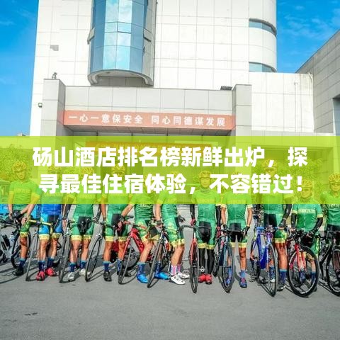 碭山酒店排名榜新鮮出爐，探尋最佳住宿體驗(yàn)，不容錯過！