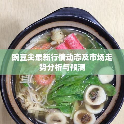 豌豆尖最新行情動態(tài)及市場走勢分析與預(yù)測