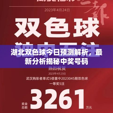 湖北雙色球今日預(yù)測解析，最新分析揭秘中獎號碼