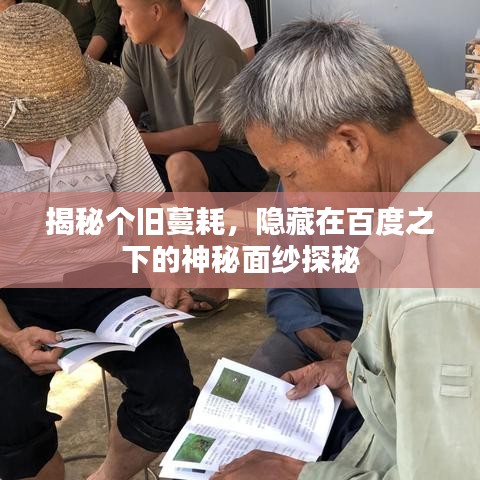 揭秘個舊蔓耗，隱藏在百度之下的神秘面紗探秘