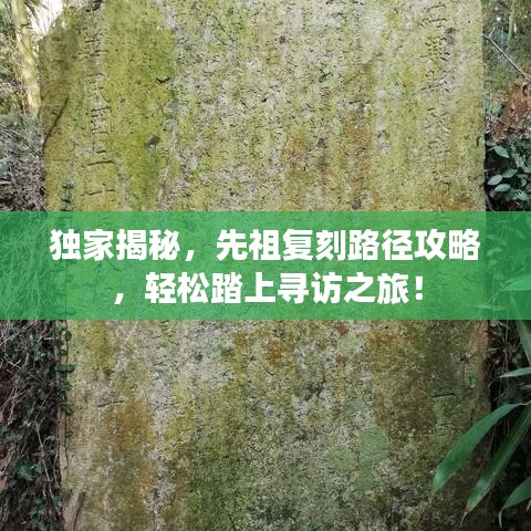 獨(dú)家揭秘，先祖復(fù)刻路徑攻略，輕松踏上尋訪之旅！