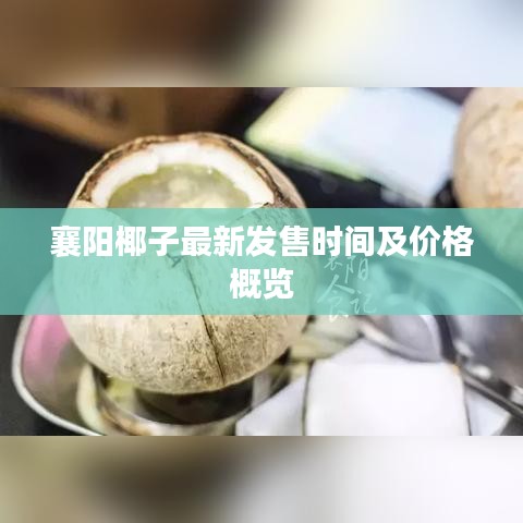 襄陽(yáng)椰子最新發(fā)售時(shí)間及價(jià)格概覽