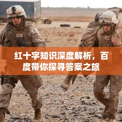 紅十字知識深度解析，百度帶你探尋答案之旅