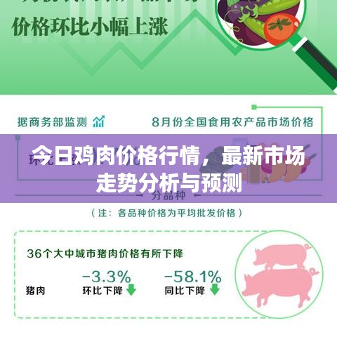 今日雞肉價格行情，最新市場走勢分析與預(yù)測