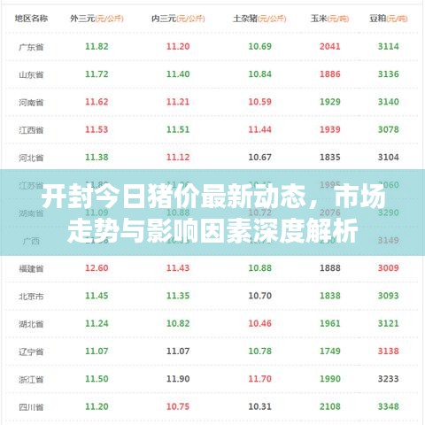 開封今日豬價(jià)最新動(dòng)態(tài)，市場走勢與影響因素深度解析