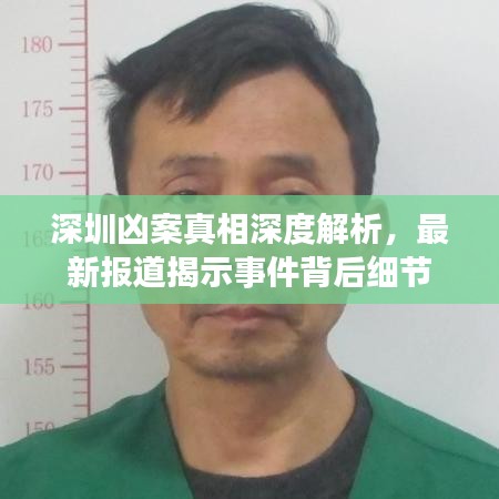 深圳兇案真相深度解析，最新報(bào)道揭示事件背后細(xì)節(jié)