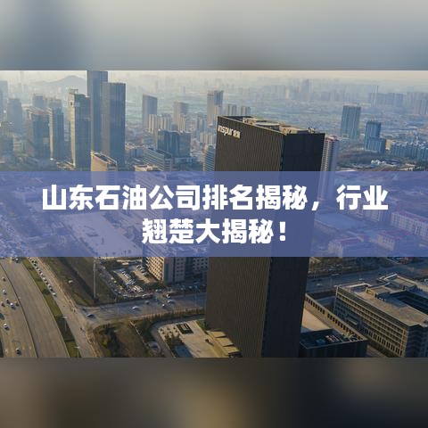 山東石油公司排名揭秘，行業(yè)翹楚大揭秘！