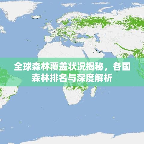 全球森林覆蓋狀況揭秘，各國森林排名與深度解析