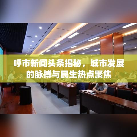 呼市新聞頭條揭秘，城市發(fā)展的脈搏與民生熱點聚焦